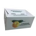 Strong Quality Custom Made Vegetable Box with Lid and Base